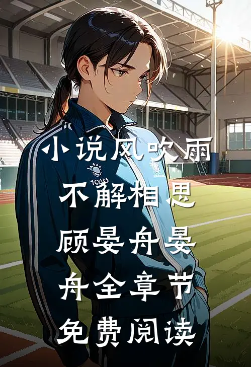 小说风吹雨，不解相思顾晏舟晏舟全章节免费阅读