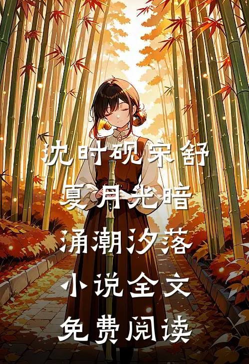 沈时砚宋舒夏月光暗涌潮汐落小说全文免费阅读