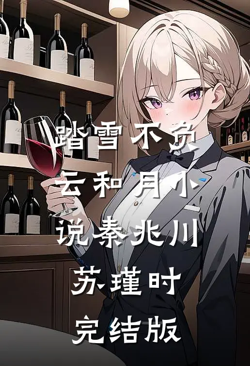 踏雪不负云和月小说秦兆川苏瑾时完结版