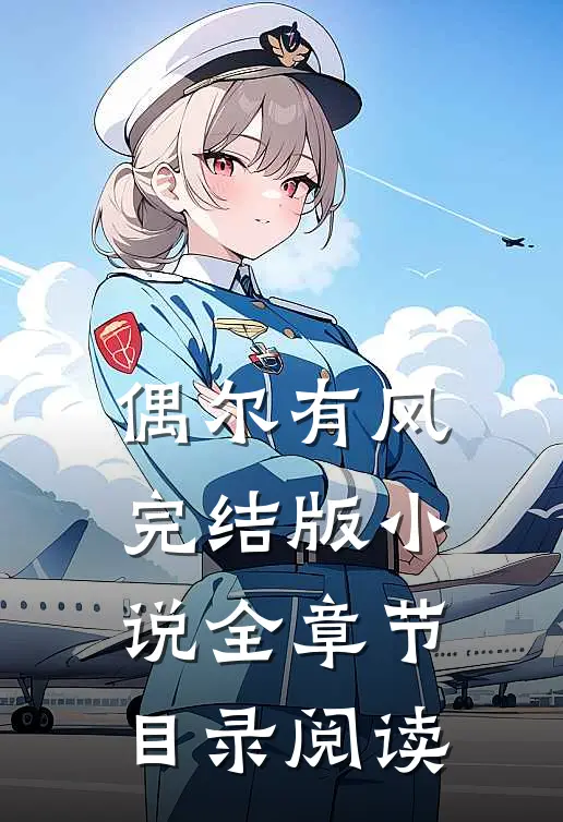 偶尔有风完结版小说全章节目录阅读