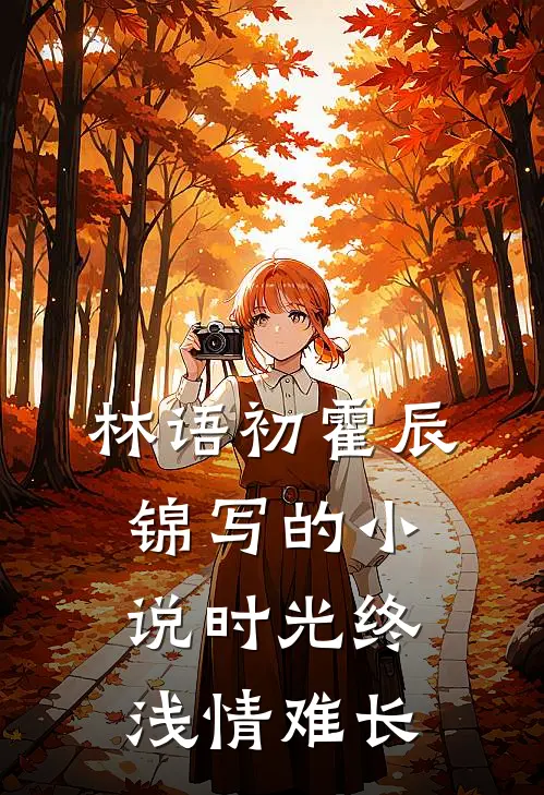 林语初霍辰锦写的小说时光终浅情难长