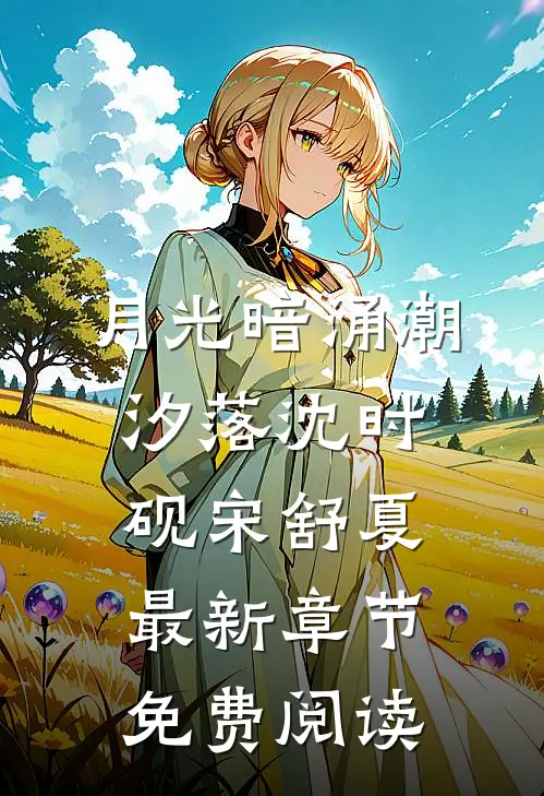 月光暗涌潮汐落沈时砚宋舒夏最新章节免费阅读