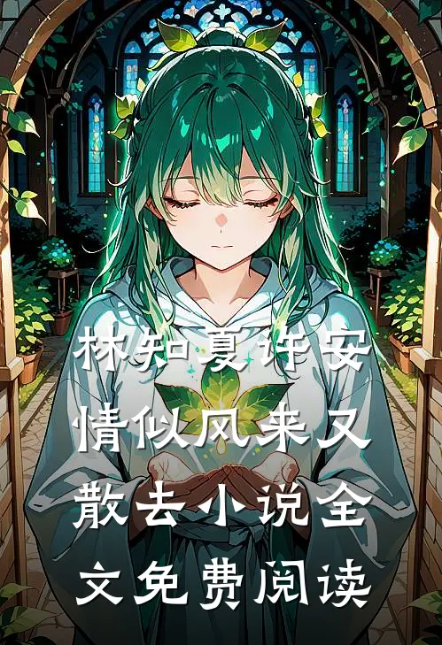 林知夏许安情似风来又散去小说全文免费阅读
