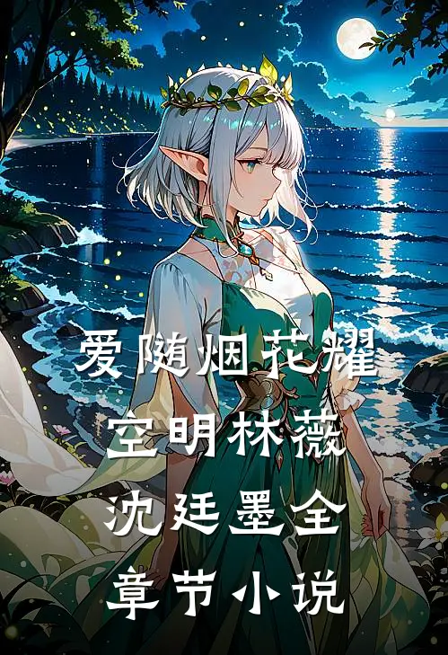爱随烟花耀空明林薇沈廷墨全章节小说