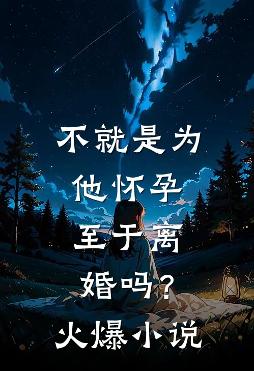 不就是为他怀孕，至于离婚吗？火爆小说