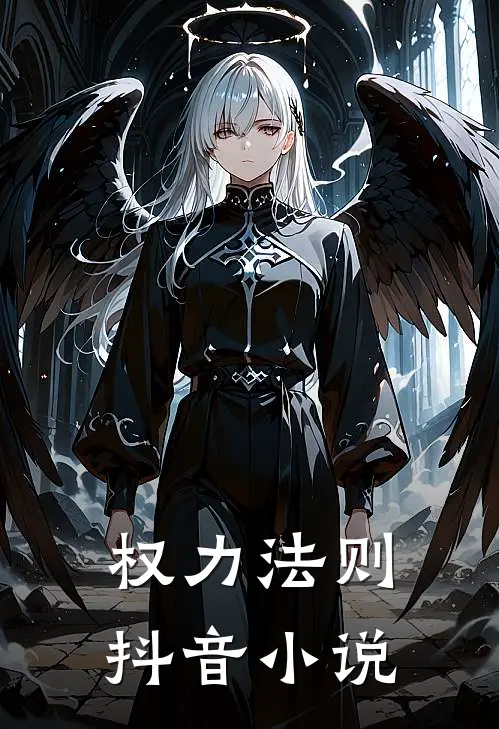 权力法则抖音小说