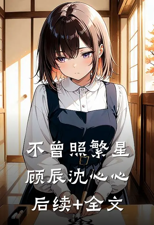 不曾照繁星顾辰沈心心后续+全文