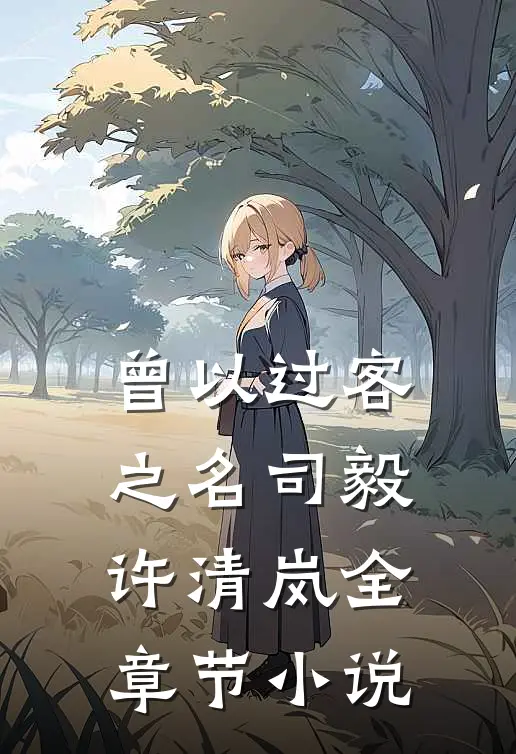 曾以过客之名司毅许清岚全章节小说