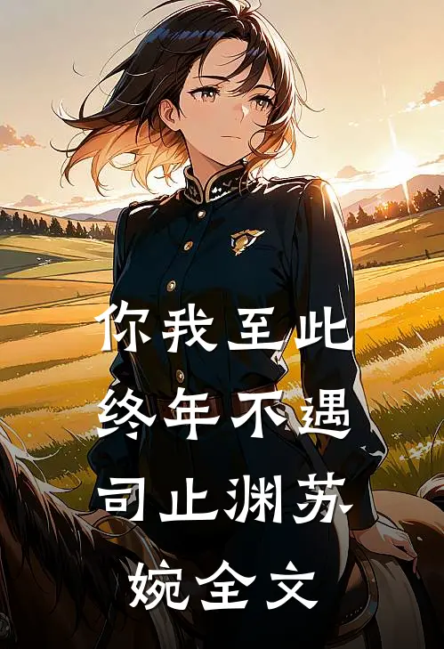 你我至此，终年不遇司止渊苏婉全文