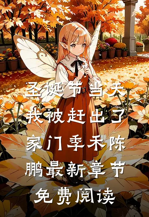 圣诞节当天，我被赶出了家门季禾陈鹏最新章节免费阅读