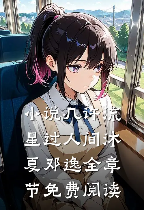 小说几许流星过人间沐夏邓逸全章节免费阅读