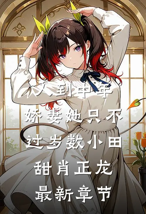 人到中年：娇妻她只不过岁数小田甜肖正龙最新章节