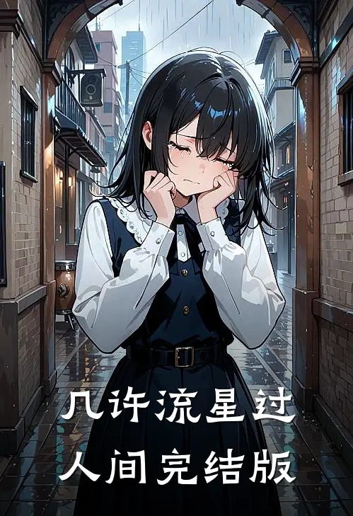 几许流星过人间完结版