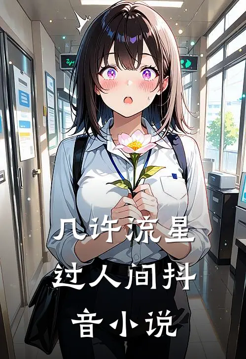 几许流星过人间抖音小说