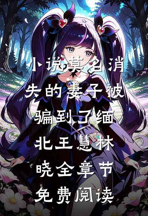小说莫名消失的妻子被骗到了缅北王慧林晓全章节免费阅读