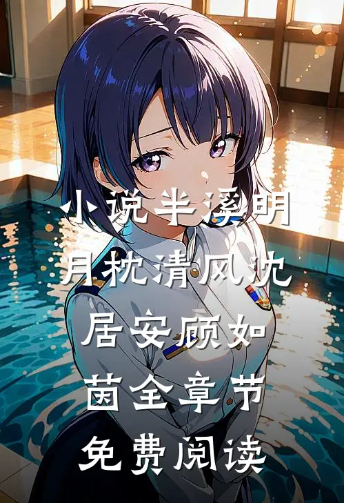 小说半溪明月枕清风沈居安顾如茵全章节免费阅读