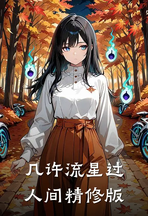 几许流星过人间精修版