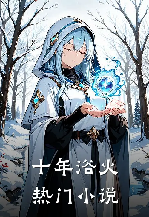 十年浴火热门小说