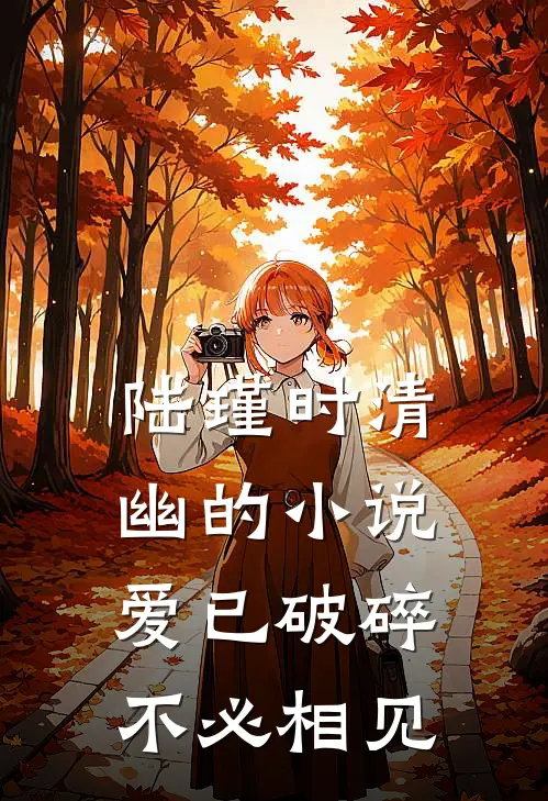 陆瑾时清幽的小说爱已破碎，不必相见