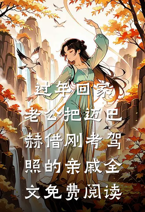 过年回家，老公把迈巴赫借刚考驾照的亲戚全文免费阅读