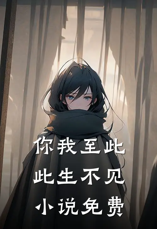 你我至此，此生不见小说免费