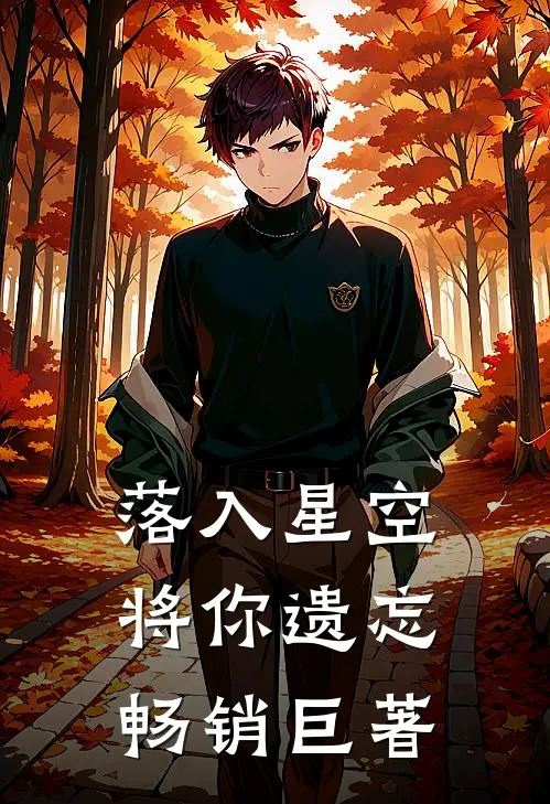 落入星空将你遗忘畅销巨著