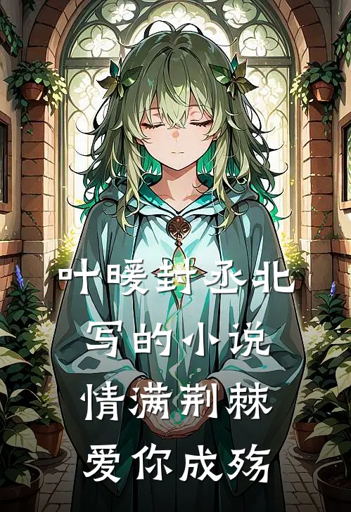 叶暖封丞北写的小说情满荆棘，爱你成殇