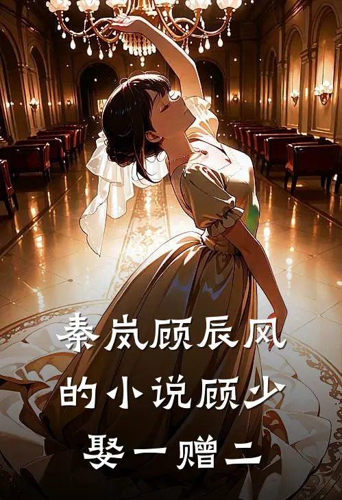 秦岚顾辰风的小说顾少，娶一赠二