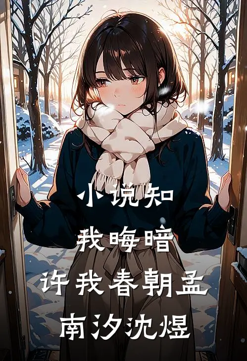 小说知我晦暗，许我春朝(孟南汐沈煜)