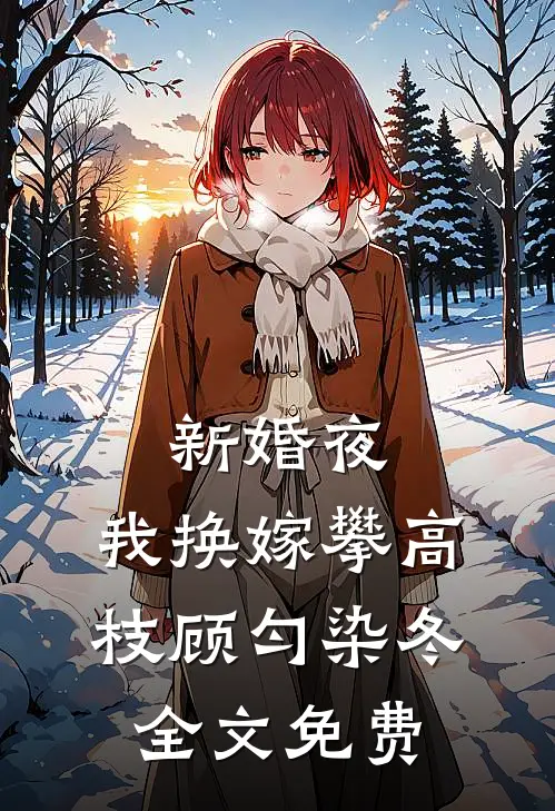 新婚夜，我换嫁攀高枝顾匀染冬全文免费
