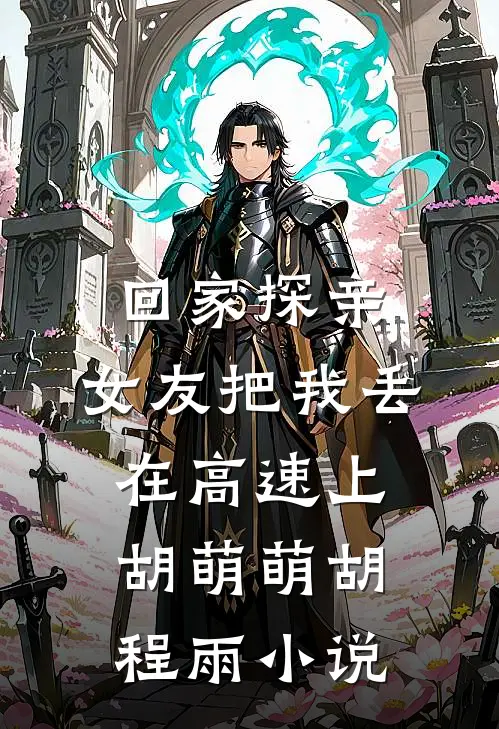回家探亲，女友把我丢在高速上胡萌萌胡程雨小说