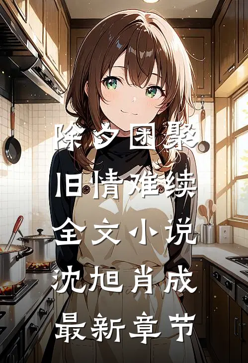 除夕团聚，旧情难续全文小说沈旭肖成最新章节