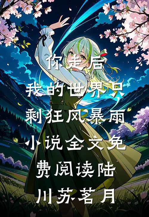 你走后，我的世界只剩狂风暴雨小说全文免费阅读陆川苏茗月