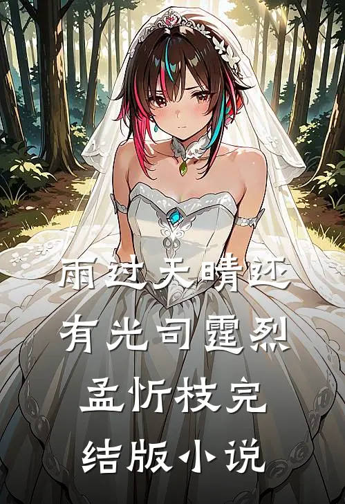 雨过天晴还有光司霆烈孟忻枝完结版小说