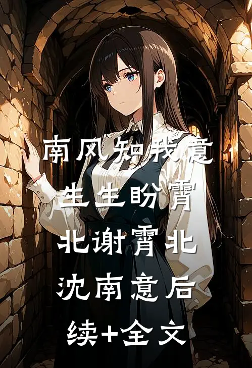 南风知我意，生生盼霄北谢霄北沈南意后续+全文