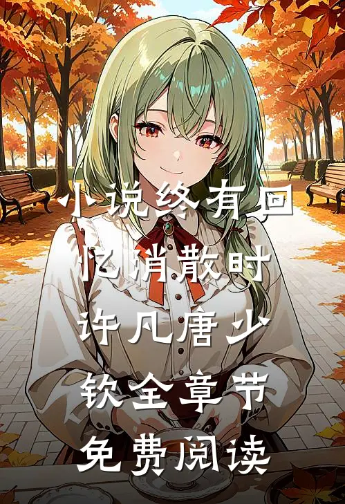小说终有回忆消散时许凡唐少钦全章节免费阅读