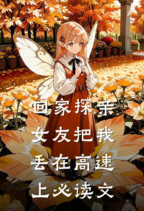 回家探亲，女友把我丢在高速上必读文