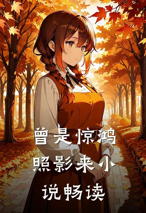 曾是惊鸿照影来小说畅读
