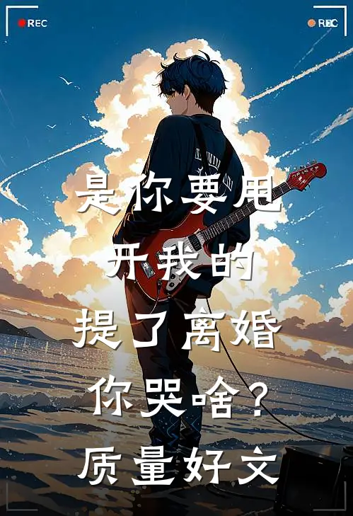 是你要甩开我的，提了离婚你哭啥？质量好文
