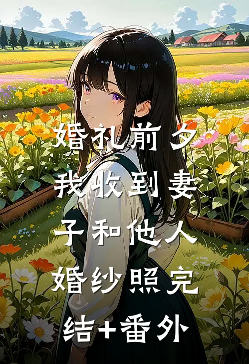 婚礼前夕，我收到妻子和他人婚纱照完结+番外
