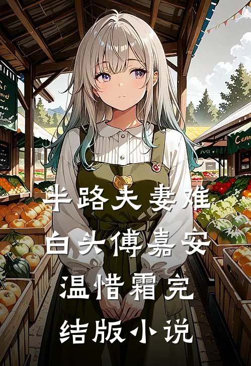 半路夫妻难白头傅嘉安温惜霜完结版小说
