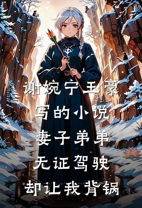 谢婉宁王豪写的小说妻子弟弟无证驾驶，却让我背锅