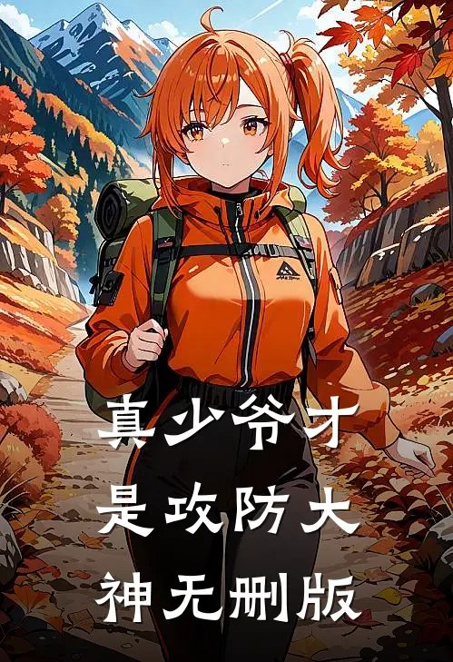真少爷才是攻防大神无删版