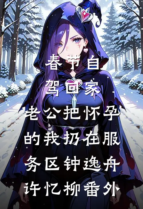 春节自驾回家，老公把怀孕的我扔在服务区钟逸舟许忆柳番外