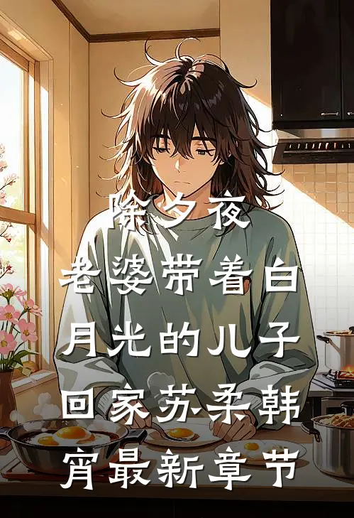 除夕夜，老婆带着白月光的儿子回家苏柔韩宵最新章节