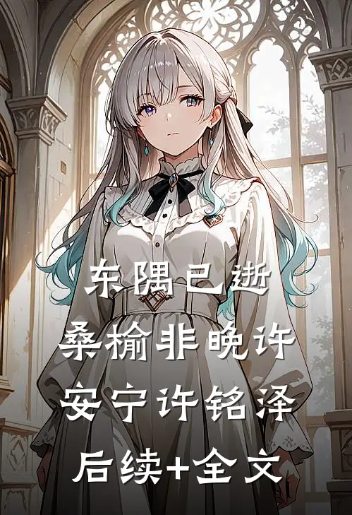 东隅已逝，桑榆非晚许安宁许铭泽后续+全文