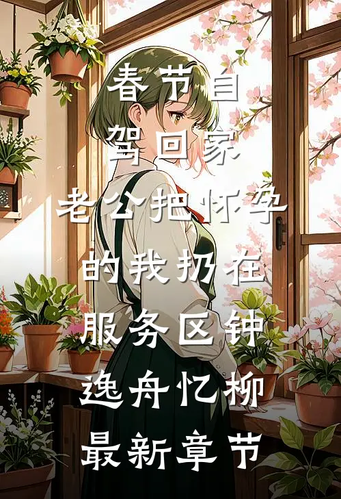 春节自驾回家，老公把怀孕的我扔在服务区钟逸舟忆柳最新章节