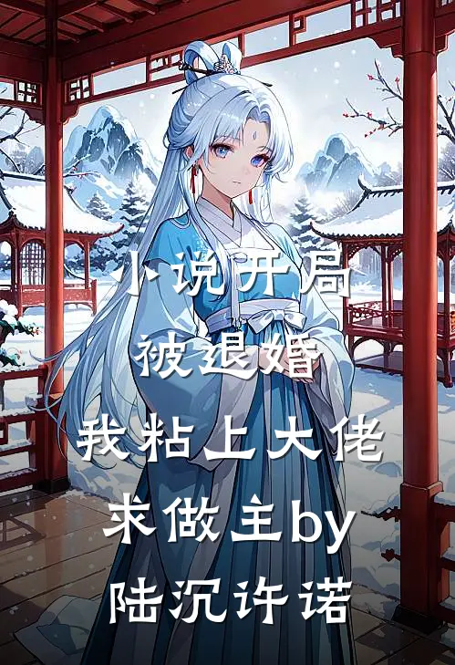 小说开局被退婚，我粘上大佬求做主by陆沉许诺