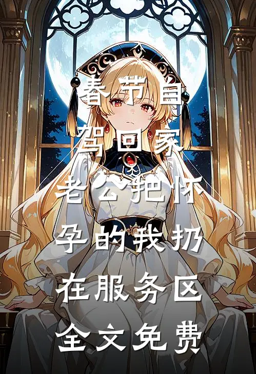 春节自驾回家，老公把怀孕的我扔在服务区全文免费