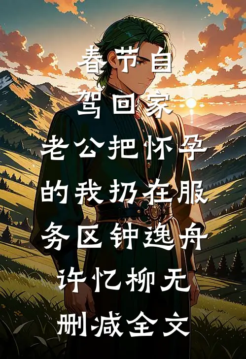 春节自驾回家，老公把怀孕的我扔在服务区钟逸舟许忆柳无删减全文